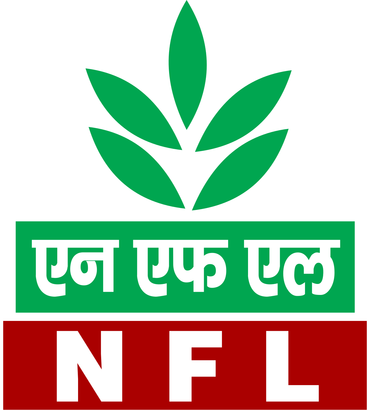 NFL MT Finance Recuitment 2026
